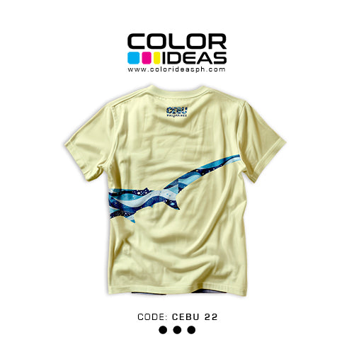 Cebu 22 - COLOR IDEAS Souvenirs